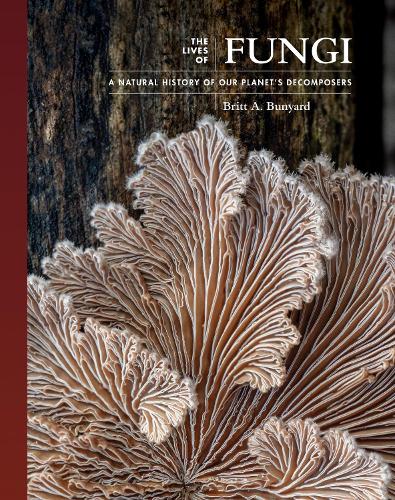 The Lives of Fungi: A Natural History of Our Planet's Decomposers.