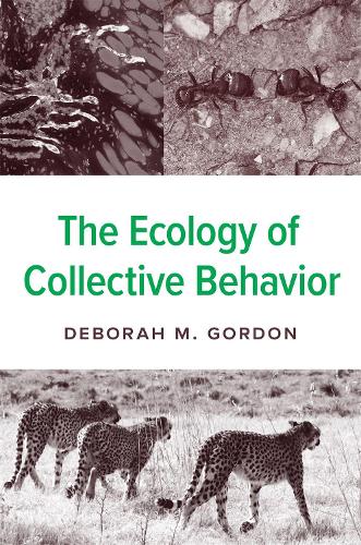 The Ecology of Collective Behavior.