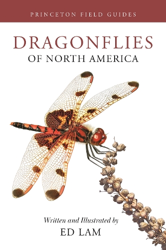 Dragonflies of North America.