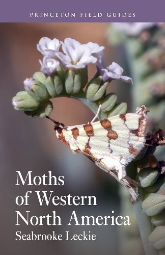 Moths of Western North America.