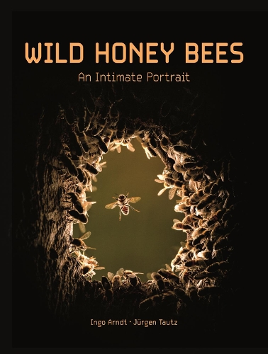 Wild Honey Bees: An Intimate Portrait.