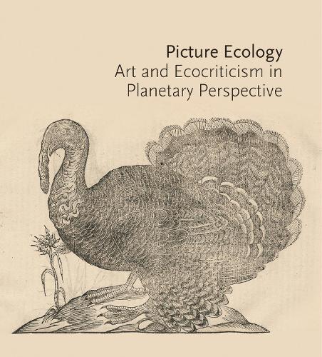 Picture Ecology: Art and Ecocriticism in Planetary Perspective.