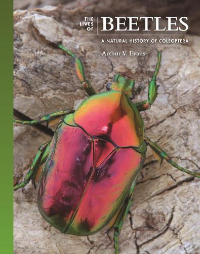 The Lives of Beetles: A Natural History of Coleoptera.