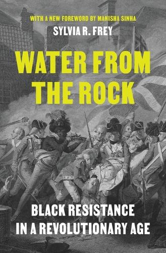 Water from the Rock: Black Resistance in a Revolutionary Age.