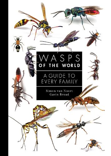 Wasps of the World: A Guide to Every Family.