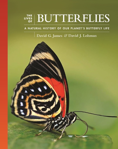 The Lives of Butterflies: A Natural History of Our Planet's Butterfly Life.