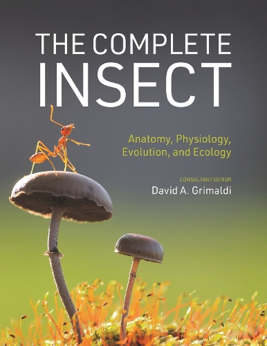 The Complete Insect: Anatomy, Physiology, Evolution, and Ecology.