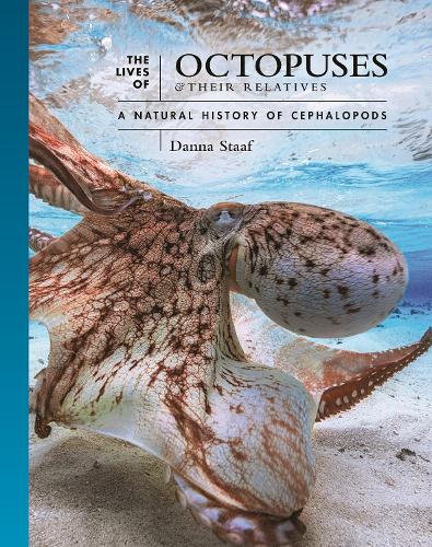The Lives of Octopuses and Their Relatives: A Natural History of Cephalopods.