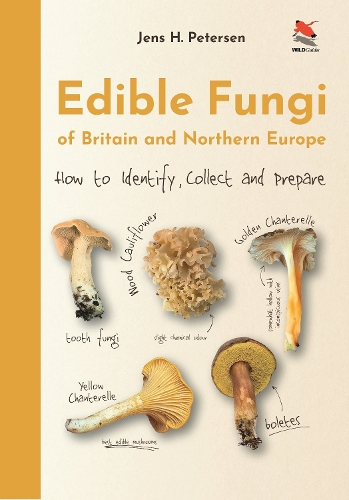 Edible Fungi of Britain and Northern Europe: How to Identify, Collect and Prepare.