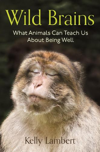 Wild Brains: What Animals Can Teach Us About Being Well.