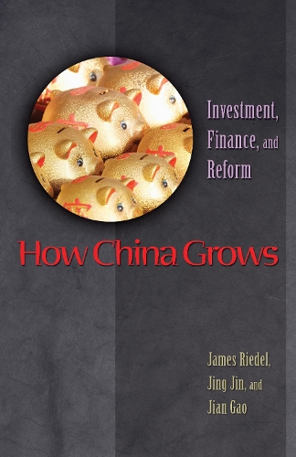 How China Grows: Investment, Finance, and Reform.