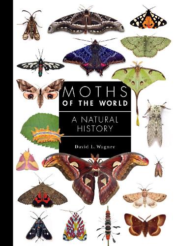 Moths of the World: A Natural History.
