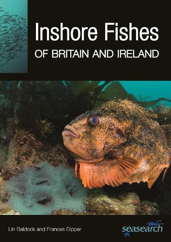 Inshore Fishes of Britain and Ireland.