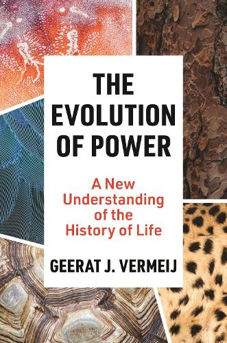 The Evolution of Power: A New Understanding of the History of Life.