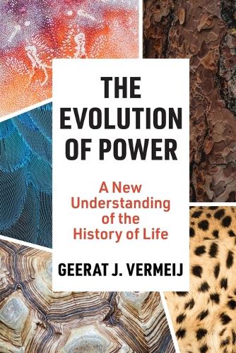 The Evolution of Power: A New Understanding of the History of Life.