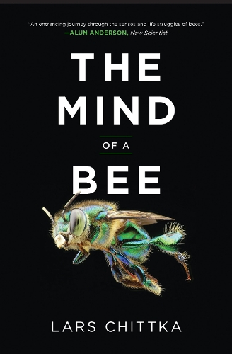 The Mind of a Bee.