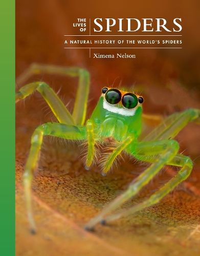 The Lives of Spiders: A Natural History of the World's Spiders.
