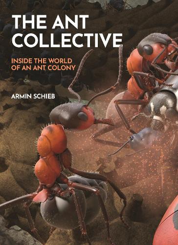 The Ant Collective: Inside the World of an Ant Colony.
