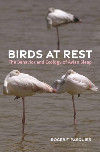 Birds at Rest: The Behavior and Ecology of Avian Sleep.