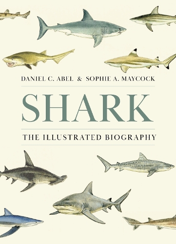 Shark: The Illustrated Biography.