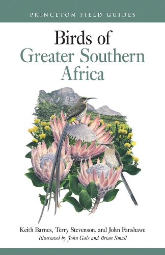 Birds of Greater Southern Africa.