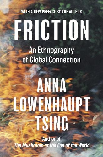 Friction: An Ethnography of Global Connection.