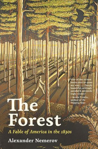 The Forest: A Fable of America in the 1830s.