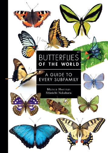 Butterflies of the World: A Guide to Every Subfamily.