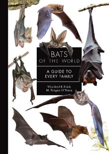 Bats of the World: A Guide to Every Family.