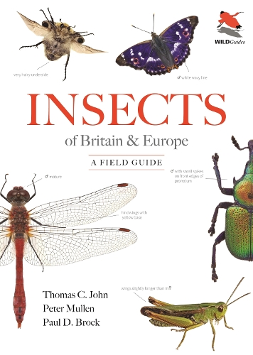 Insects of Britain and Europe: A Field Guide.