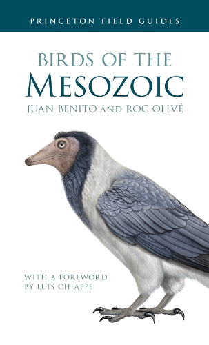 Birds of the Mesozoic.
