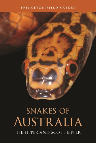 Snakes of Australia.