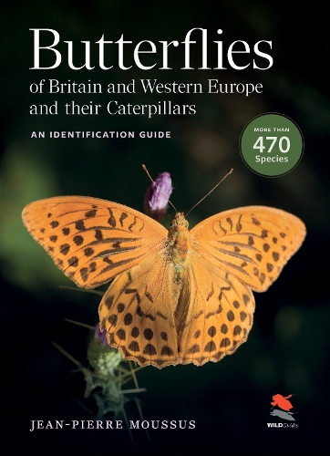 Butterflies of Britain and Western Europe and Their Caterpillars: An Identification Guide.
