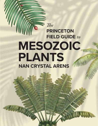 The Princeton Field Guide to Mesozoic Plants.