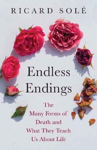 Endless Endings: The Many Forms of Death and What They Teach Us About Life.