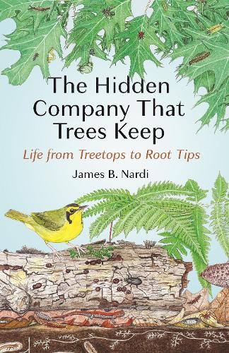 The Hidden Company That Trees Keep: Life from Treetops to Root Tips.