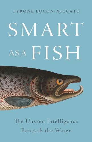 Smart as a Fish: The Unseen Intelligence Beneath the Water.