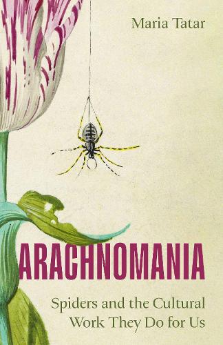 Arachnomania: Spiders and the Cultural Work They Do for Us.