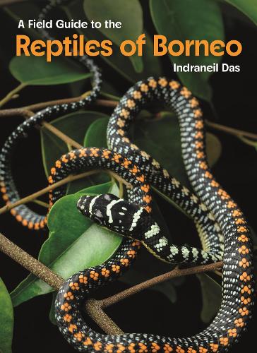 A Field Guide to the Reptiles of Borneo.