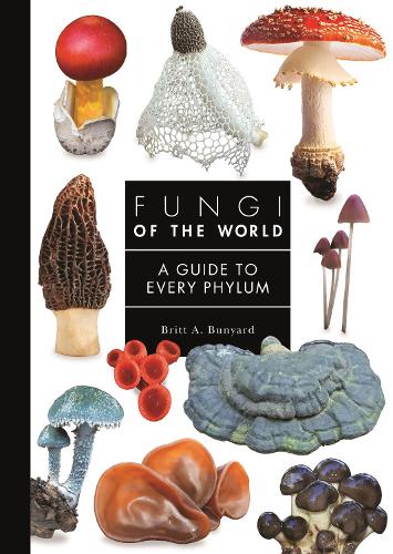 Fungi of the World: A Guide to Every Phylum.