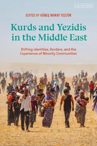 Kurds and Yezidis in the Middle East: Shifting Identities, Borders, and the Experience of Minority Communities.