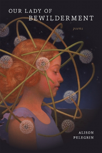 Our Lady of Bewilderment: Poems.