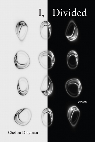 I, Divided: Poems.