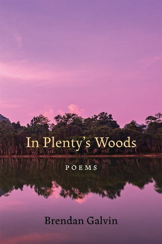 In Plenty's Woods: Poems.