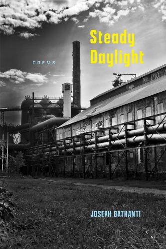 Steady Daylight: Poems.