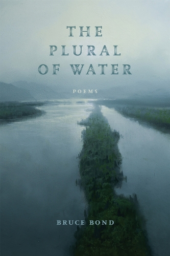 The Plural of Water: Poems.