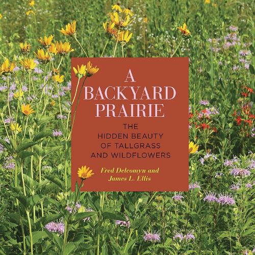 A Backyard Prairie: The Hidden Beauty of Tallgrass and Wildflowers.