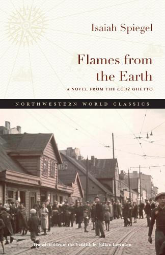 Flames from the Earth: A Novel from the Lodz Ghetto.
