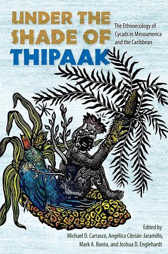 Under the Shade of Thipaak: The Ethnoecology of Cycads in Mesoamerica and the Caribbean.
