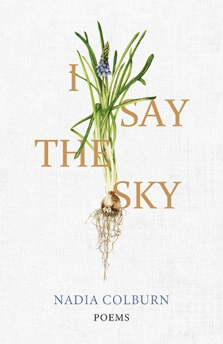 I Say the Sky: Poems.
